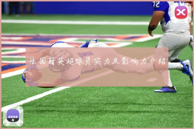法国籍英超球员实力及影响力介绍
