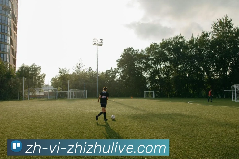 蜘蛛直播品牌故事