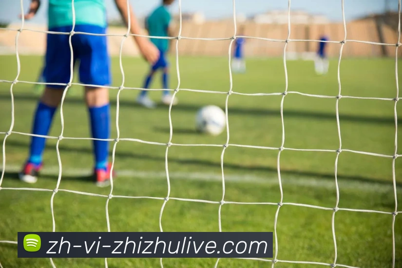 蜘蛛直播服务体系