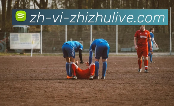 蜘蛛直播APP 体育赛事宣传图